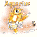 Aquarius Cat