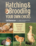 waptrick.com Hatching And Brooding Your Own Chicks