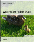 waptrick.com Wee Pocket Paddle Duck