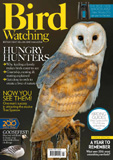 waptrick.com Bird Watching UK March 2017