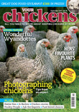 waptrick.com Your Chickens September 2017