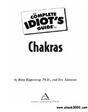 waptrick.com The Complete Idiots Guide to Chakras
