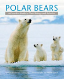 waptrick.com Polar Bears A Complete Guide to Their Biology and Behavior