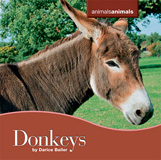 waptrick.com Donkeys From Animals Animals
