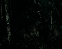 waptrick.com The Vampire Diaries - Season 1 Part 1