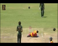 waptrick.com 10 Horrible injuries in Cricket - Never Seen Before