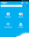Skype Video Call