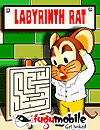 Labyrinth Rat