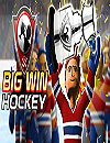 Big Win Hockey 2013