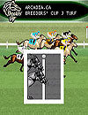 Breeders Cup Casino Horse Racing