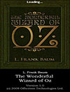 Wizard Of Oz Wonderful