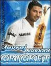 Yuvraj Nukkad Cricket