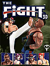 The Fight 3D