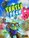 Turtle Dash New