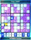 Can Sudoku Challenge