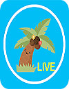 Coconut Live Video Chat Meet New People