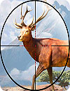 Sniper Shooter Animal Hunting
