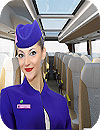 Virtual Girl Tourist Bus Waitress Job Dream Job