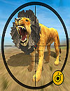 Life of Animals Jungle Survival Lion Shooting