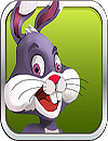 Amazing Angry Rabbit Run 3D