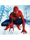 Spiderman 3 puzzle
