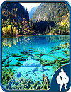 Landscape Jigsaw Puzzles 4 In 1