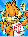 Garfield Mybig FAT Diet