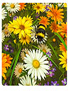 Bee Live Wallpaper HD