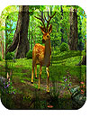 3D Deer Nature