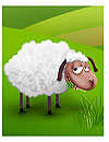 Funny Sheeps Lwp