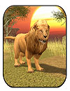 Wild Lion Simulator 3D