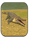 Wild Crocodile Simulator 3D