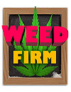 Weed Firm Re Planted