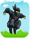 Intense Ninja Go