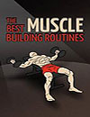 Best Muscle Building Routines