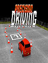 Precision Driving Retro 3D