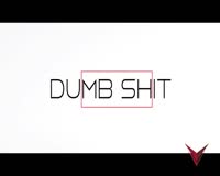 Dumb Shit Videoklipp