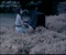 Mei You Ren Bi Wo Gen Ai Ni Videoklipp