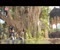 Bargad Ke Pedon Pe Video Videos clip