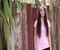 I Want Crazy Cover By Cimorelli Đoạn video