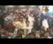 Sindhi Mannhoo Mitha Video Clip