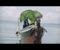 Tsunami Klip ng Video