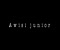 Awisi Junior Klip ng Video