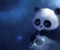 Cute Bubble Panda