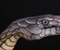 Hands Snakes Body Painting