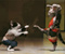 Funny Cats S Kung Fu Mimi