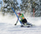 Skiing The Winter Sports