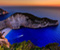 View Of Zakynthos Island
