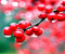 red cranberries on branch