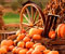 pumpkin carriage in autumn